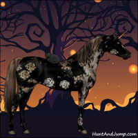 Horse Color:Void Liver Red Dun Sabino Brindle 