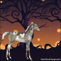 Horse Color:White Spotted Liver Red Dun Mushroom Sabino Rabicano Brindle