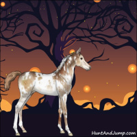Horse Color:Gray White Spotted Liver Red Dun Rabicano Brindle