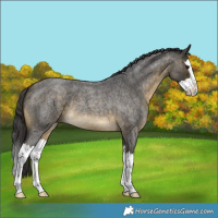 Horse Color:Buckskin Roan Splash