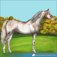 Horse Color:White Spotted Liver Red Onyx Pearl Mushroom Rabicano Brindle 