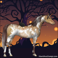 Horse Color:White Spotted Chocolate Buckskin Dun Rabicano 