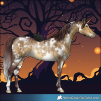 Horse Color:White Spotted Chocolate Buckskin Dun Rabicano Brindle