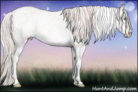 Horse Color:Smoky Creme Tobiano