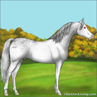 Horse Color:White Spotted Silver Grullo Chinchilla Ice 