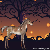 Horse Color:White Spotted Chocolate Silver Brown Dun Brindle