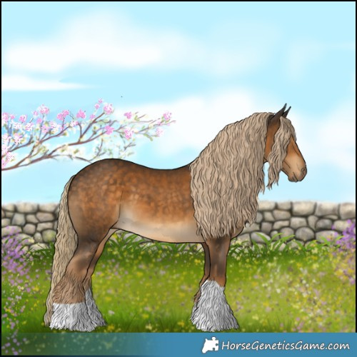 Horse Color:Chocolate Palomino Tobiano 