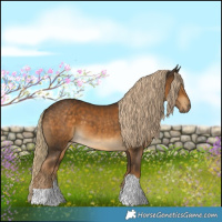 Horse Color:Chocolate Palomino Tobiano 