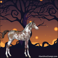 Horse Color:White Spotted Liver Red Dun Sabino Brindle