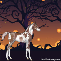 Horse Color:White Spotted Liver Red Dun Mushroom Sabino Brindle 