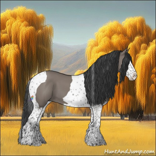 Horse Color:Grullo Splash Tobiano 
