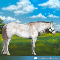 Horse Color:White Spotted Liver Red Dun Splash Tobiano 
