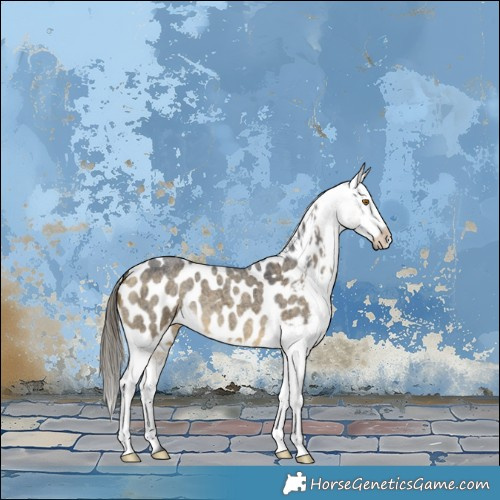 Horse Color:Buckskin Roan Dun Appaloosa Brindle 