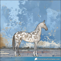 Horse Color:Buckskin Roan Dun Appaloosa Brindle