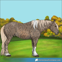 Horse Color:Chocolate Palomino Ice Tobiano 