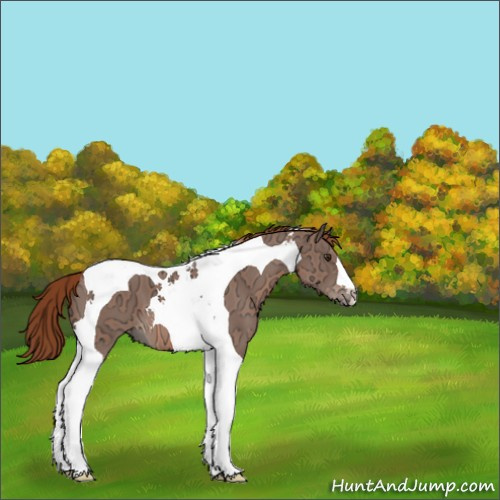 Horse Color:Chestnut Ice Tobiano 