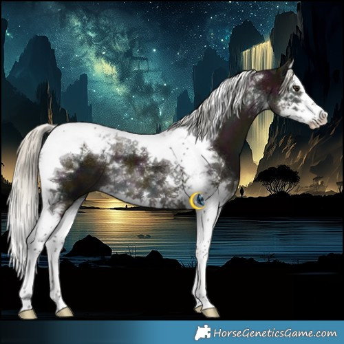 Horse Color:Midnight Liver Red Dun Mushroom Splash Tobiano Brindle 