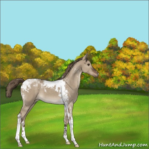 Horse Color:Liver Red Dun Tobiano 