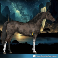 Horse Color:Liver Red Dun Ice Tobiano 