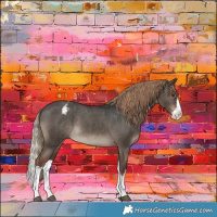 Horse Color:Liver Red Dun Sabino Splash Varnish 