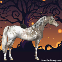 Horse Color:White Spotted Liver Red Dun Ice Mushroom Brindle 