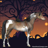 Horse Color:Brown Dun Sabino Tobiano Brindle 