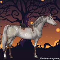 Horse Color:Gray Platinum White Spotted Chocolate Silver Brown Dun 