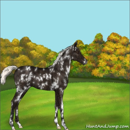 Horse Color:White Spotted Liver Chestnut Ice Mushroom 