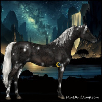 Horse Color:White Spotted Liver Chestnut Ice Mushroom 