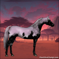 Horse Color:Void Watercolor Chocolate Palomino Onyx Splash