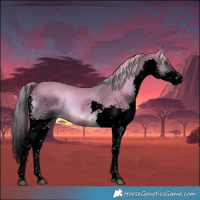 Horse Color:Void Watercolor Chocolate Palomino Onyx Splash