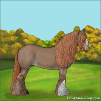 Horse Color:Liver Red Dun