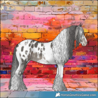 Horse Color:White Spotted Grullo Tobiano Frame Appaloosa 