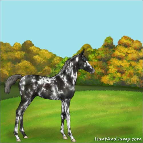 Horse Color:White Spotted Liver Chestnut Ice Mushroom 