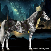 Horse Color:Midnight Liver Chestnut Ice Mushroom Sabino 