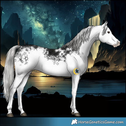 Horse Color:White Spotted Liver Chestnut Ice Mushroom