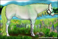 Horse Color:Watercolor Plaid  Liver Red Dun Onyx 