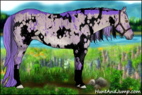 Horse Color:Void Watercolor White Spotted Chocolate Palomino Dun Brindle