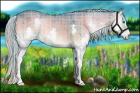 Horse Color:Watercolor Plaid Chocolate Palomino Onyx Splash Brindle