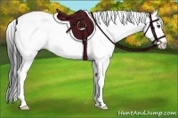Horse Color:White Spotted Black Splash