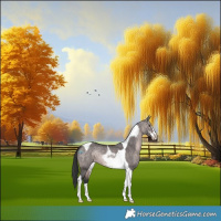 Horse Color:Platinum Brown Dun Sabino Tobiano 