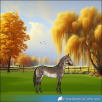 Horse Color:Void Brown Dun Appaloosa 