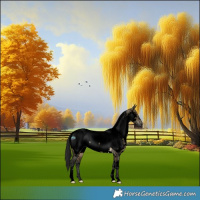 Horse Color:Gray Void White Spotted Buckskin Dun Near Fewspot 