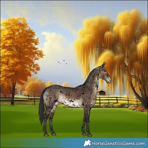 Horse Color:Void White Spotted Brown Dun Appaloosa Rabicano 