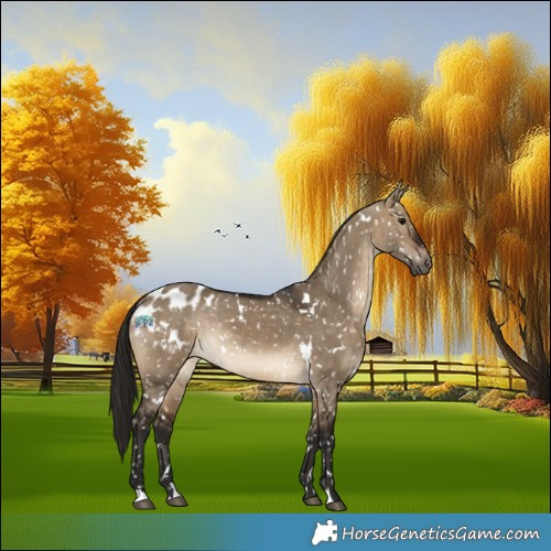 Horse Color:Gray White Spotted Bay Dun Appaloosa Rabicano