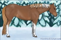 Horse Color:Chestnut Tobiano Rabicano