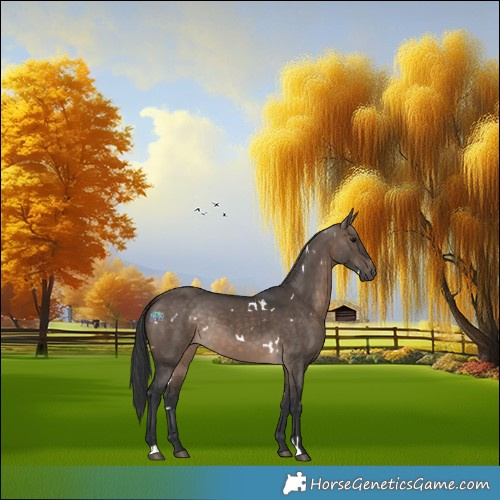 Horse Color:White Spotted Brown Dun Sabino Rabicano