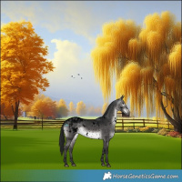 Horse Color:Gray Void Platinum White Spotted Bay Dun Appaloosa 