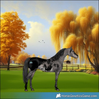 Horse Color:Void Platinum Bay Dun Sabino Appaloosa 