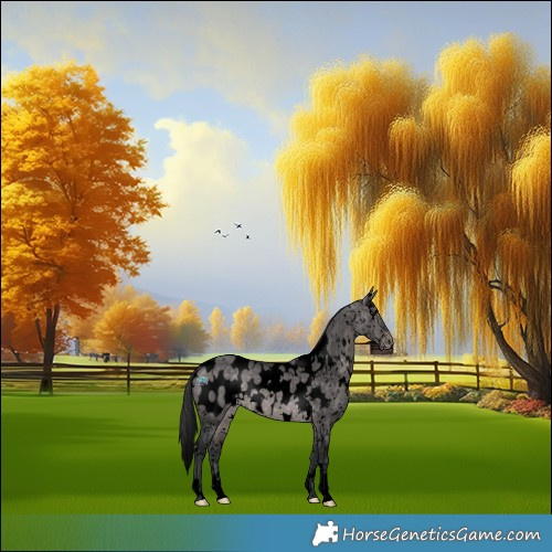 Horse Color:Void Platinum White Spotted Brown Dun Appaloosa
